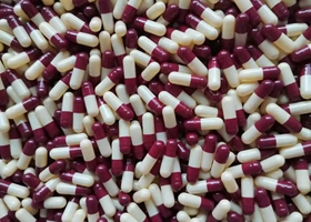 ����鿴����